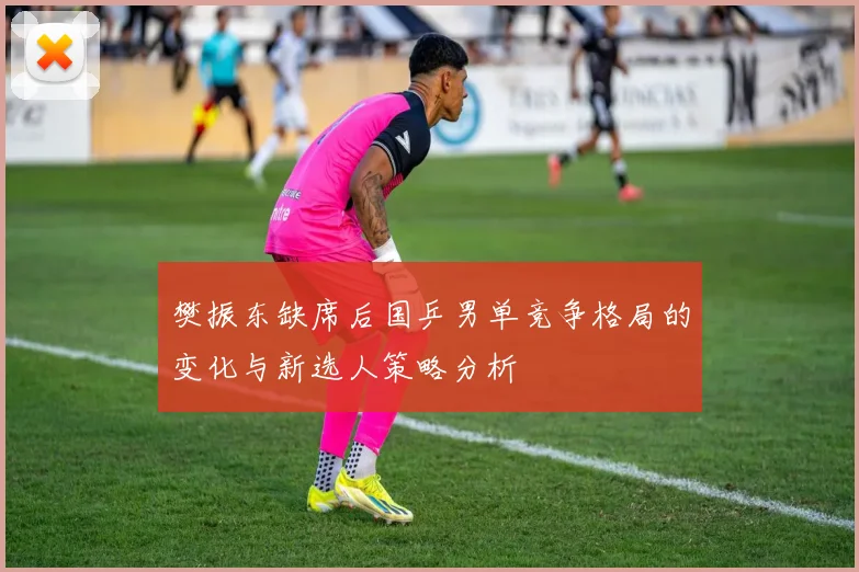 樊振东缺席后国乒男单竞争格局的变化与新选人策略分析