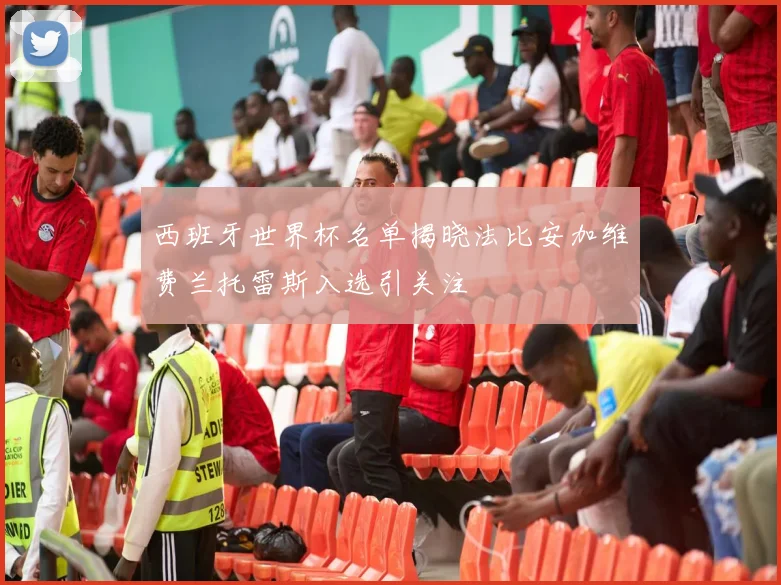 西班牙世界杯名单揭晓法比安加维费兰托雷斯入选引关注