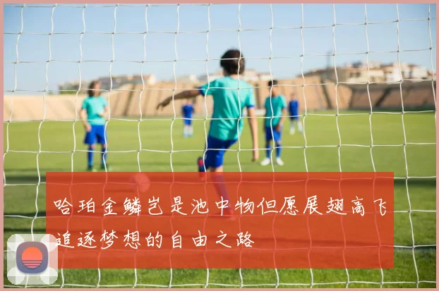 哈珀金鳞岂是池中物但愿展翅高飞追逐梦想的自由之路